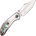 Assisted Open Folding Pocket Knife with Colored Trim ( ST-FK-201/02/03) ePepperSprays.com